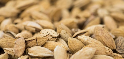 Roasted Almonds (in shell) as full size background image (selective focus)