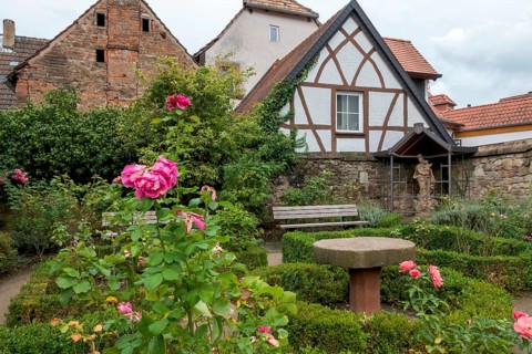 Rose garden at the Alte Kellerei, baroque garden, Sankt Martin, German or Southern Wine Route,