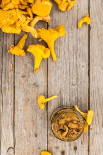 Portion of fresh Canned chanterelles close-up shot, selective focus