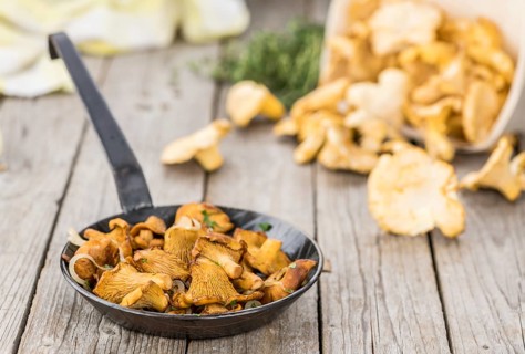 Fried Chanterelles on an old wooden table as detailed close-up shot, selective focus
