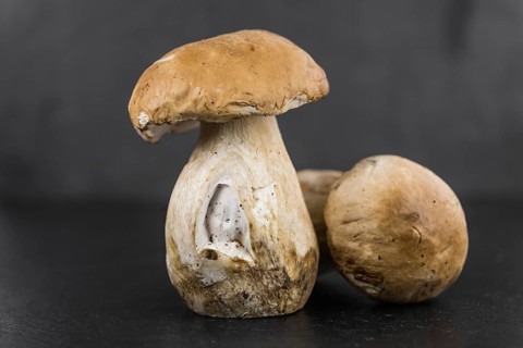 Porcinis on a vintage background (close-up shot, selective focus)