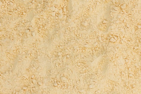 Fresh Whole Powdered Eggs as detailed close-up shot (selective focus)