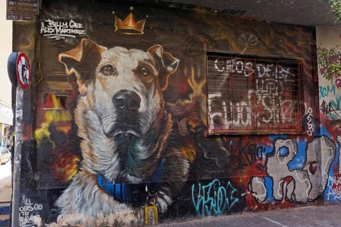 Portrait dog Lukanikos, street dog from the times of the Greek sovereign debt crisis, mural by