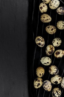 Portion of Quail Eggs as detailed close-up shot, selective focus
