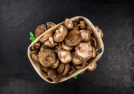 Portion of Shiitake mushrooms as detailed close up shot on a slate slab, selective focus