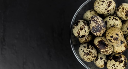 Portion of Quail Eggs as detailed close-up shot, selective focus