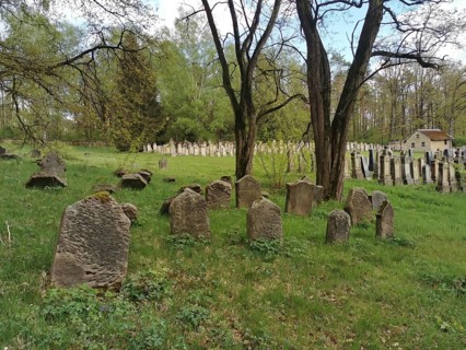 Jewish cemetery, Jewish cemetery Burgkunstadt, one of the largest Jewish country cemeteries in