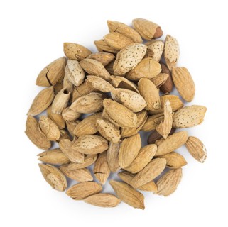 Roasted and salted Almonds (in the shell) isolated on white background