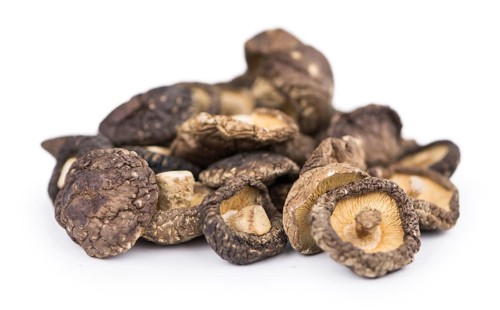 Dried Shiitake mushrooms isolated on white background, selective focus, close-up shot