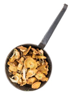 Fresh made Fried Chanterelles isolated on white background, close-up shot