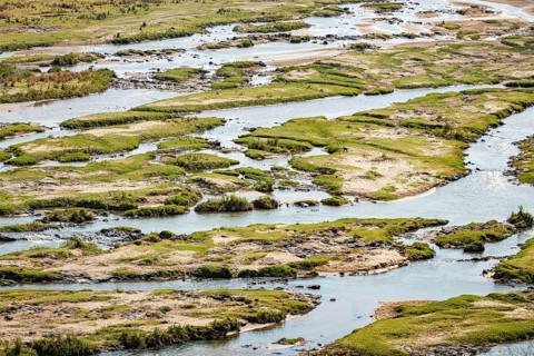 Olifants River (Limpopo) at Kruger National Park, South Africa, Africa
