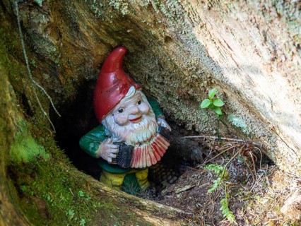Garden gnome making music in a tree hollow, near Gössl, Salzkammergut, Styria, Austria, Europe