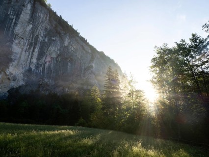 Morning atmosphere at sunrise, early morning fog over a meadow, behind the Gössler Wand, Gössl,