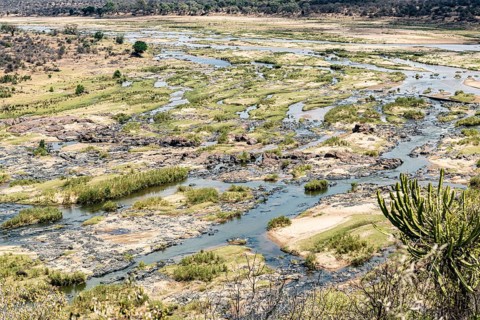Limpopo (Olifants River) in Kruger National Park, South Africa, Africa