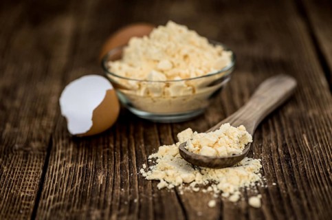 Fresh Whole Powdered Eggs as detailed close-up shot (selective focus)