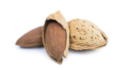 Roasted and salted Almonds (in the shell) isolated on white background