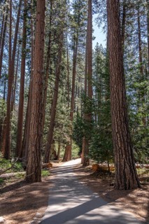 Hiking Trail in Yosemite Valley, California, USA, North America