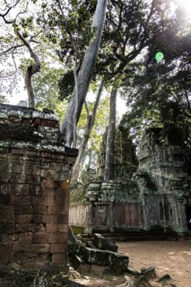 The famous Ta Prohm temple near Angkor Wat, Cambodia, Asia