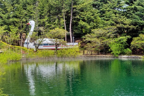 A large swan-shaped boat on a lake surrounded by lush green trees, in Suncheon, South Korea, Asia