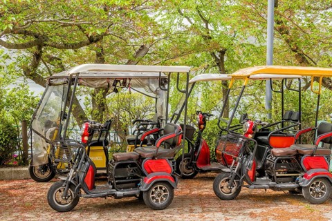 Electric golf carts parked among lush trees with a protective cover under a sunny sky, in Suncheon,