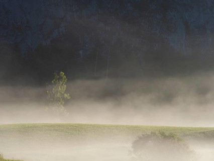 Early morning fog over forest and fields, Gössler Wand, Gössl, Salzkammergut, Styria, Austria,