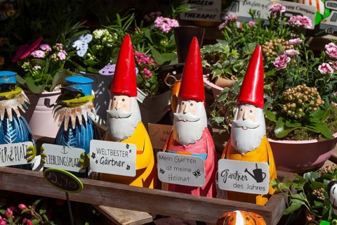 Colourful garden gnomes in front of a shop, Leer, East Frisia, Germany, Europe