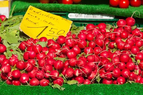 Fresh radishes with price tag on a market stall, Bremen, Germany, Europe