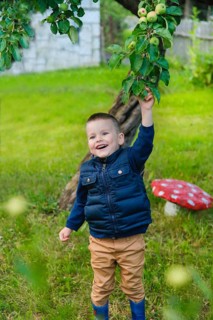 A happy boy smiling and picking apples from a tree in a green garden with a red mushroom decoration