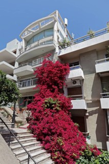 Modern apartment building in steep staircase alley, overgrown with bougainvillea, Kolonaki