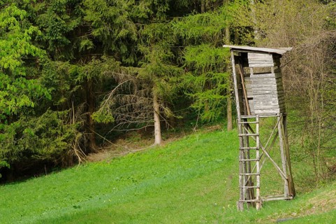 A weathered wooden tower stands at the edge of a grassy field in the forest, Styria