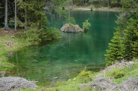 A rock in the middle of a lake with clear green water, surrounded by forest and dense vegetation,