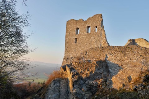 Mighty castle ruins on a hill in the evening sun, surrounded by landscape and trees, Wolfstein