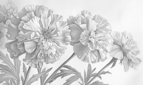 Black and white background with marigold flowers, AI generated