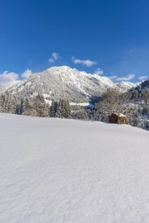 Snowy landscape, behind it Schattenberg, 1845m, Oberallgaeu, Allgaeu, Bavaria, Germany, Europe