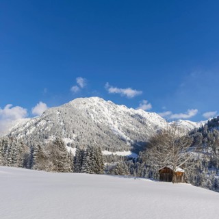 Snowy landscape, behind it Schattenberg, 1845m, Oberallgaeu, Allgaeu, Bavaria, Germany, Europe