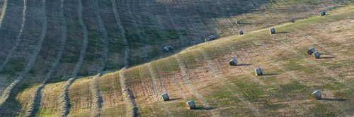 Harvested wheat field with bales of straw, landscape around Pienza, Val d'Orcia, Orcia Valley,