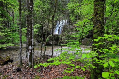 Waterfall at the Steigbach in the Steigbachtobel near Immenstadt in Oberallgäu, Bavaria, Germany,