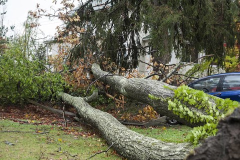 Chappaqua, NY, USA 30 Oct 2012: Scene of damage the day after Hurricane force winds from Hurricane