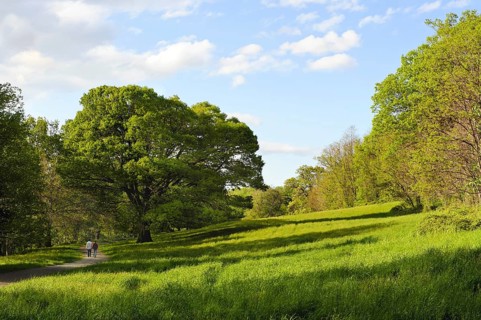 A couple holding hands walks on a winding path in a beautiful natural setting with lush trees and