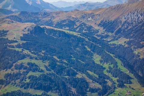 Extensive mountainous landscape with dense forests, green meadows and clear views, Grisons,