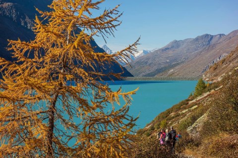 Hikers in autumn landscape at the turquoise lake surrounded by mountains, Saas Fee, Switzerland,