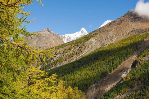Mountain landscape in the Alps with snow-covered peaks, green forests and a bright blue sky, Saas