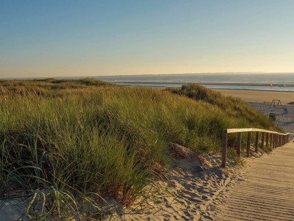 A wooden path leads through the dunes to a beach, the sunlight shines through the grass, blue sea