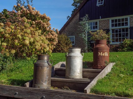 Three old milk cans stand in the garden of a farm, surrounded by flowers and a green meadow,