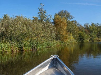 A boat on a calm river, surrounded by trees and reeds in autumn colour spectrum, giethoorn,