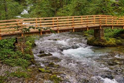 Wooden bridge over a rushing river in the forest, surrounded by lush vegetation, Gosau, Austria,