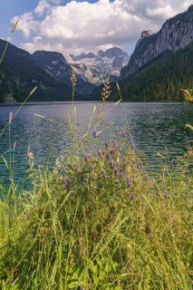 A beautiful lake in a mountainous landscape, with flowering plants in the foreground and high peaks