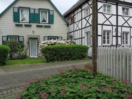 Quiet street with half-timbered houses and well-tended front gardens full of green bushes and pink