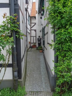 Narrow passageway between half-timbered houses, decorated with plants and roses, creates a peaceful