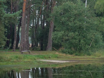 A solitary park bench stands in a quiet wooded area, overlooking a tranquil pond, haaksbergen, .
